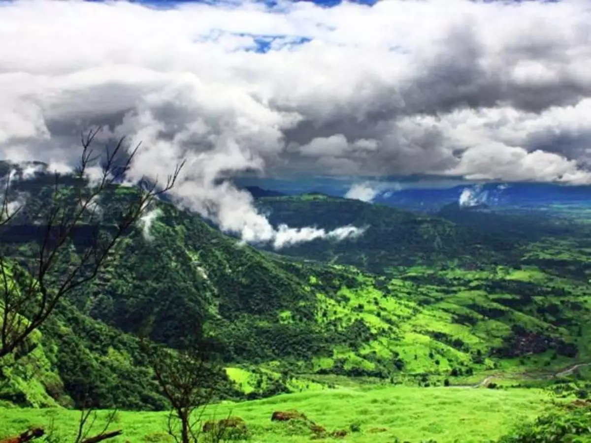 மாஞ்சோலை தோட்ட தொழிலாளர் பிரச்னை…. ஐகோர்ட் அதிரடி உத்தரவு