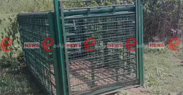 கோவை-சிறுத்தையை பிடிக்க வனத்துறை கூண்டு…
