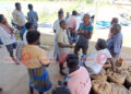 நெல் ஈரபதத்தை ஆய்வு செய்ய மத்திய அரசு வரவில்லை… விவசாயிகள் அதிருப்தி