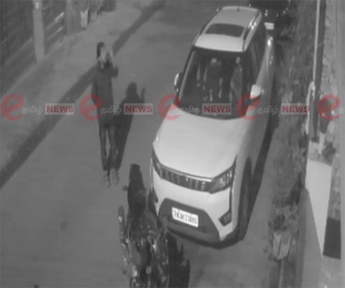 கோவை அருகே நாய்குட்டிகளை கல்லால் அடித்து கொன்ற வாலிபர்.. கொடூரம்