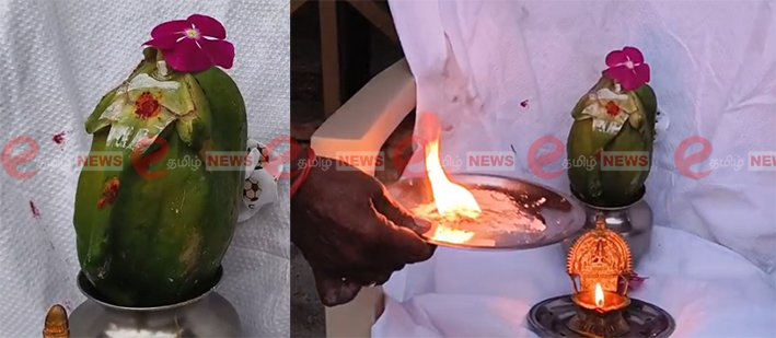 பப்பாளி பழத்தில் காட்சியளித்த விநாயகர் உருவம்.. விவசாயிகள் வழிபாடு