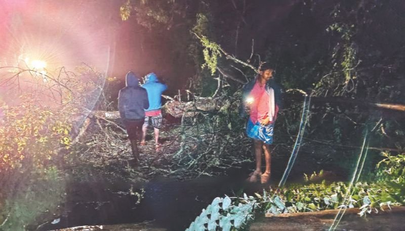 சாலையில் மரம் விழுந்து போக்குவரத்து பாதிப்பு