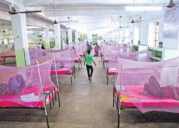 தொடர் மழை…டெங்கு பாதிப்பு அதிகரிப்பு…பொது சுகாதாரத்துறை தகவல்