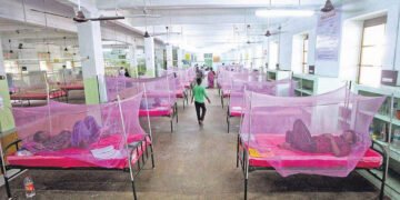 தொடர் மழை…டெங்கு பாதிப்பு அதிகரிப்பு…பொது சுகாதாரத்துறை தகவல்