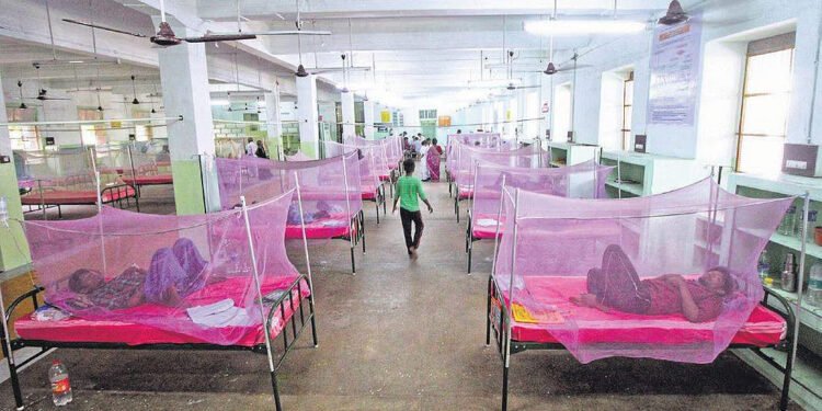 தொடர் மழை…டெங்கு பாதிப்பு அதிகரிப்பு…பொது சுகாதாரத்துறை தகவல்