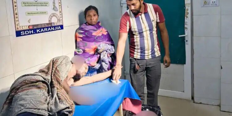 6 கரடிகளுடன் சண்டையிட்டு கணவரைக் காப்பாற்றிய மனைவி