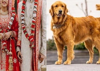 செல்ல நாய் குரைத்ததால் ‘ஸ்டாப்’ ஆன மேரேஜ்: மண்டை உடைப்பில் முடிந்த திருமண விழா