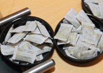 பொதுமக்களுக்கு எச்சரிக்கை: அங்கீகரிக்கப்படாத ‘நிக்கோடின் பவுச்’களைப் பயன்படுத்த வேண்டாம் – தமிழக அரசு