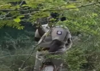 +2 மாணவி வன்கொடுமை செய்த துண்டு துண்டாக வெட்டிய கொடூரம்