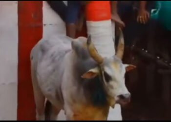 திருச்சி லால்குடி அருகே ஜல்லிக்கட்டில் சீறிப்பாய்ந்த காளைகள்