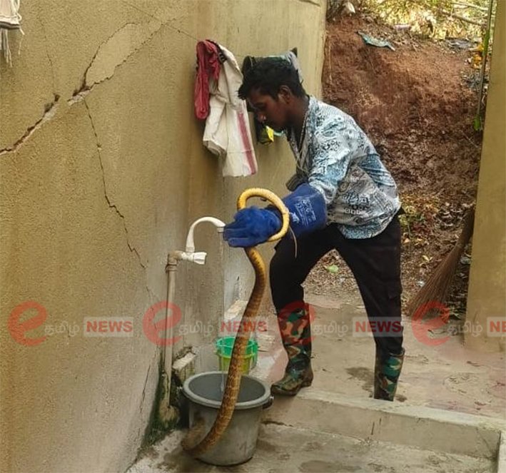 வீட்டின் குளியலறைக்குள் பதுங்கியிருந்த 5 அடி நீள பாம்பு
