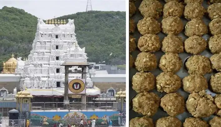 திருப்பதி லட்டு பிரசாதத்தின் தரத்தை உறுதிப்படுத்த மத்திய அரசுடன் ஒப்பந்தம்!