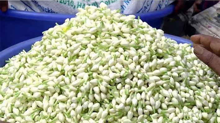 திருமங்கலம் பூ சந்தையில் மல்லிகை பூ கடும் வீழ்ச்சி