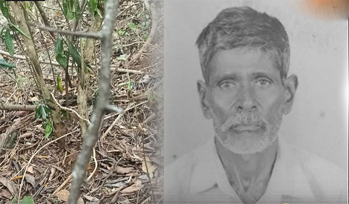 மேட்டுபாளையத்தில் சிறுத்தை தாக்கி முதியவர் பலி?...