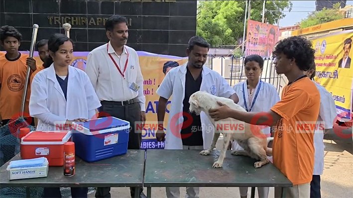 திருச்சியில் நாய்களுக்கு ரேபிஸ் தடுப்பூசி- தொடக்கம்