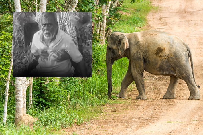 கோவை அருகே யானை தாக்கி முதியவர் பலி