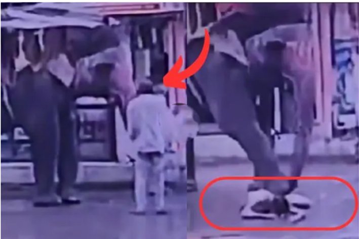வெல்லம் தர முயன்ற ஆட்டோ டிரைவரை மிதித்து கொன்ற யானை