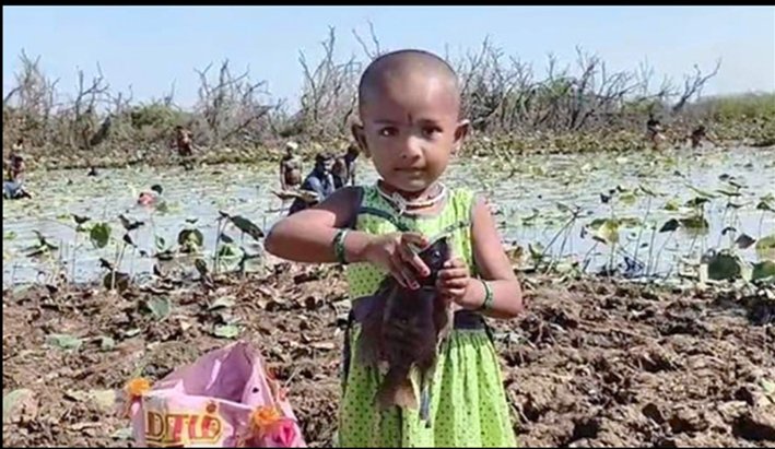 சிவகங்கையில் பிரம்மாண்ட பாரம்பரிய மீன்பிடி திருவிழா-கோலாகலம்