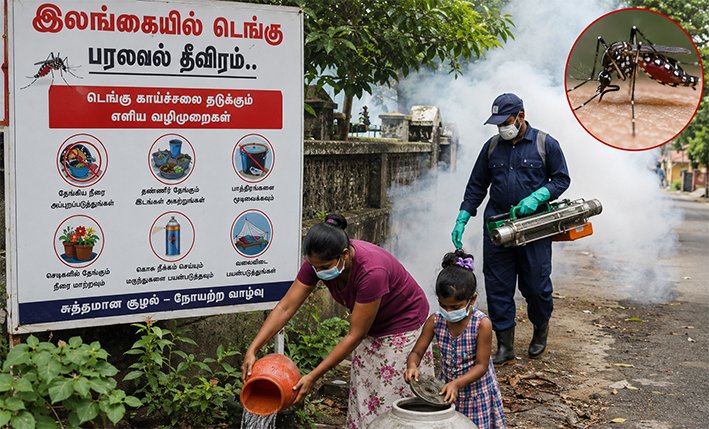 இலங்கையில் டெங்கு பரவல் தீவிரம்- நாளுக்கு நாள் அதிகரிப்பு