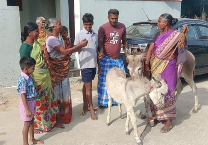பெரம்பலூர் அருகே கழுதை பால் விற்பனை-ஒரு சங்கு ரூ.100