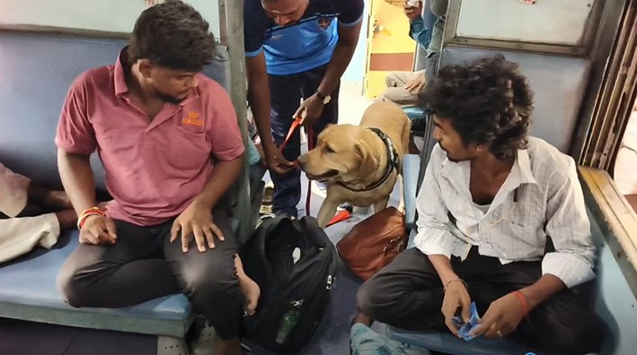 கஞ்சா கடத்தல் தடுப்பு சோதனை-மோப்பநாய் உதவியுடன் கண்காணிப்பு