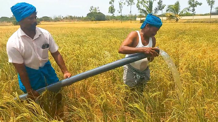 நெற்பயிருக்கு ட்ராக்டர் மூலம் தண்ணீர் பாய்ச்சும் விவசாயி