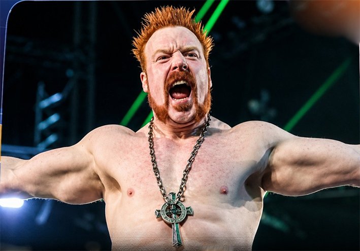 WWE மல்யுத்த தொடரில் இருந்து வௌியேறும் ஷீமஸ்-ரசிகர்கள் அதிர்ச்சி