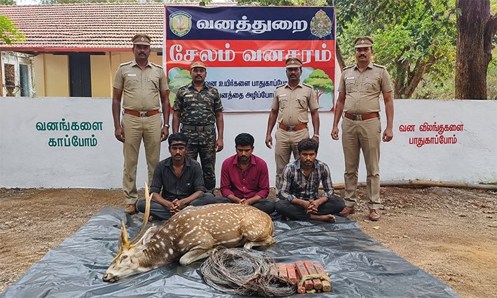 புள்ளிமானை வேட்டையாடிய 3 பேர் கைது...ரூ.1.65 லட்சம் அபராதம்