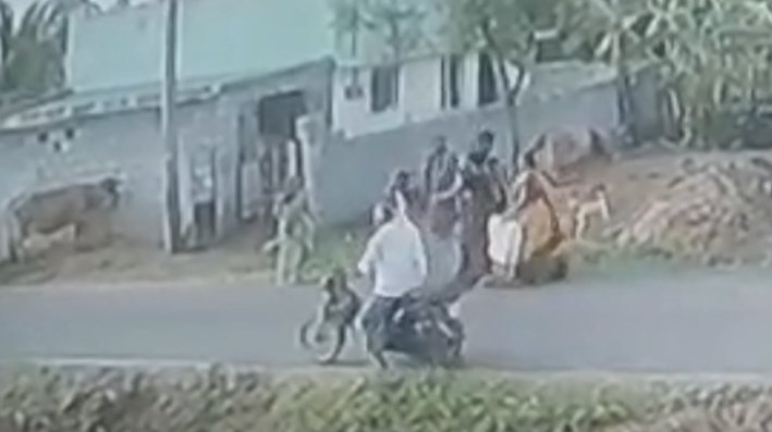 திருப்பத்தூர் அருகே பசுவால் தகராறு.. 2 பேரை தாக்கிய தம்பதி