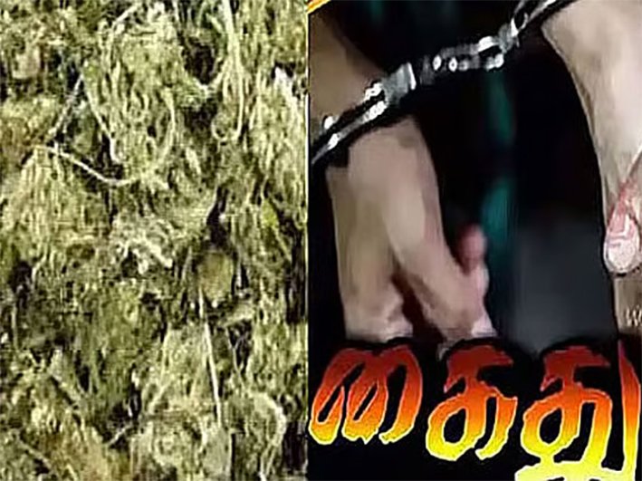 18 கிலோ கஞ்சா பறிமுதல்.. ஓட்டேரி போலீசார் அதிரடி கைது!