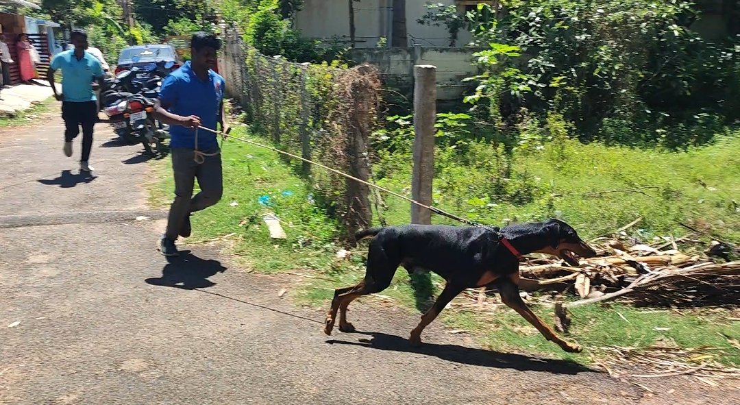 கும்பகோணம் அருகே வீட்டை உடைத்து 40 பவுன் தங்க நகை கொள்ளை