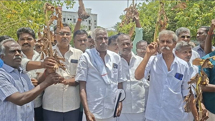 திருச்சியில் கருகிய வாழை பயிர்களுடன் விவசாயிகள் போராட்டம்