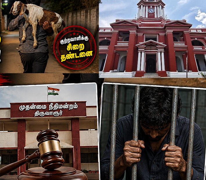 ஆடு திருடிய குற்றவாளிக்கு சிறை தண்டனை!