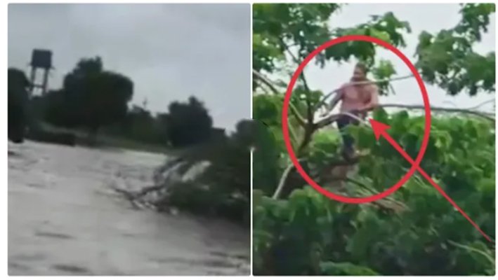 ஆற்றில் திடீர் வெள்ளம்...மரத்தின் மீது ஏறி உயிர் தப்பிய நபர்