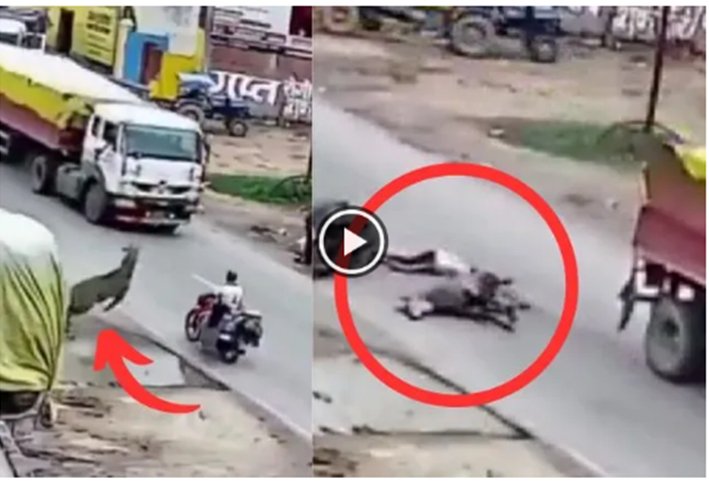 மான் மோதி லாரி சக்கரத்தில் சிக்கி இளைஞர் பலி... பரிதாபம்