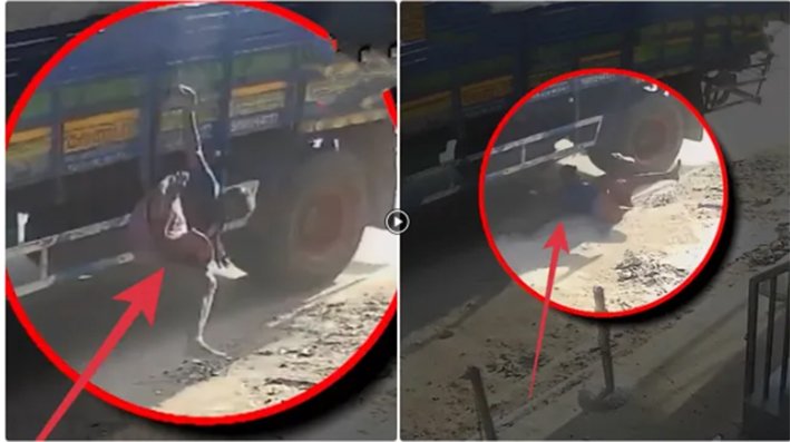மன்னார்குடி அருகே லாரியில் இருந்து தவறி விழுந்தவர் தலை நசுங்கி பலி
