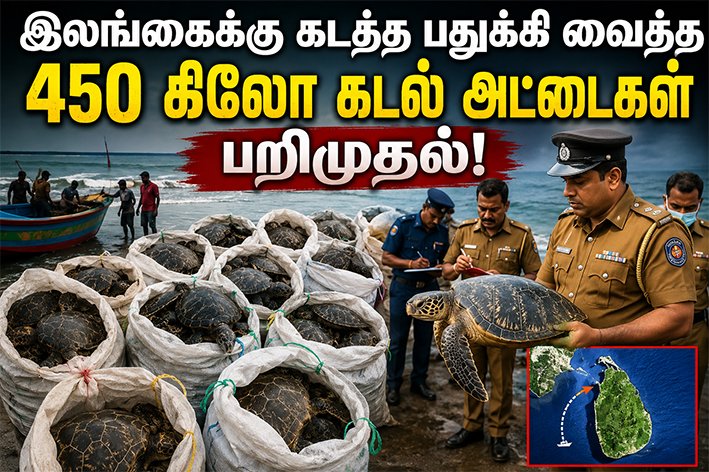 இலங்கைக்கு கடத்த பதுக்கி வைத்த 450 கிலோ கடல் அட்டைகள் பறிமுதல்!