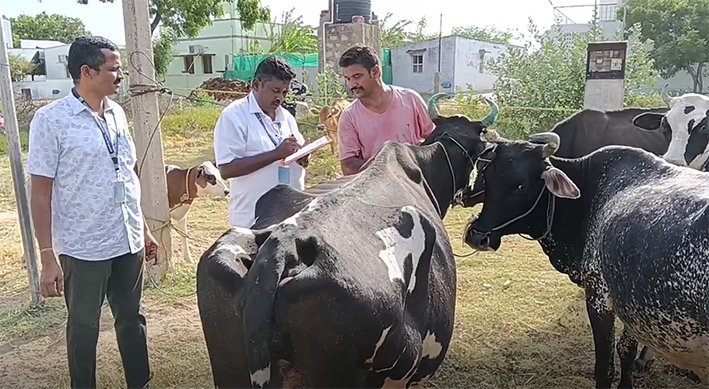 கரூரில் சிறப்பு கால்நடை மருத்துவ முகாம்!- தொடக்கம்