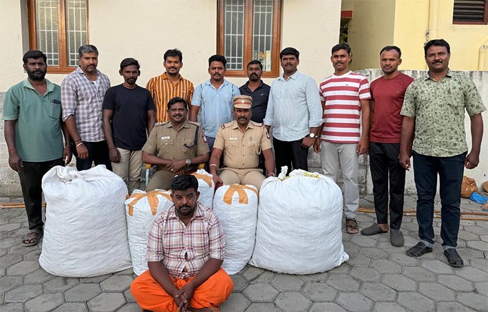 ஒடிசாவிலிருந்து லாரியில் வந்த 181 கிலோ கஞ்சா பதுக்கிய நபர் கைது