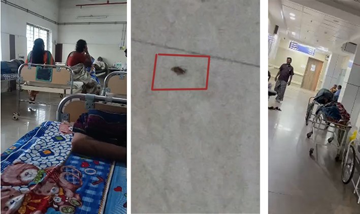 மூட்டைப் பூச்சிகள் தொல்லை-கோவை ஜிஎச்-ல் நோயாளிகள் கடும் அவதி