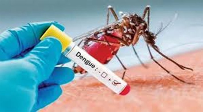 மதுரையில் 70 பேருக்கு டெங்கு காய்ச்சல் பாதிப்பு