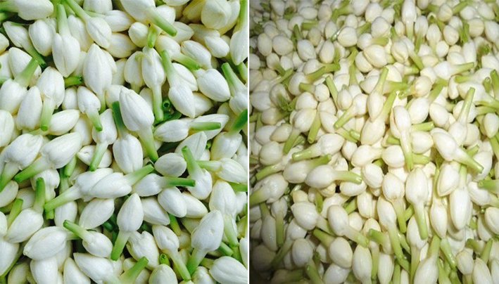 சுபமுகூர்த்த நாளையொட்டி மல்லிகை பூ கிலோ ரூ.1,500