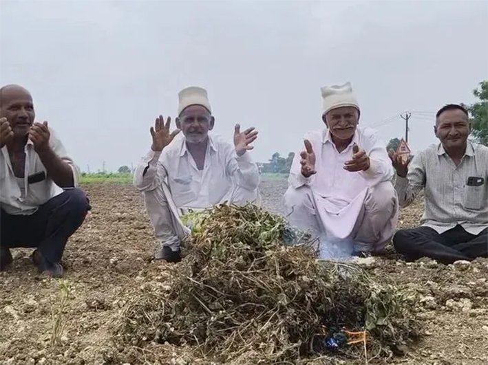 நிலக்கடலை பயிர்களை தீ வைத்து கொளுத்திய விவசாயிகள்