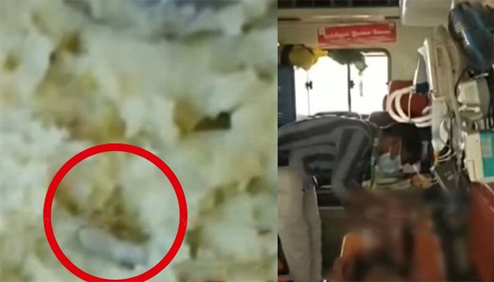 அரசு பள்ளி உணவில் பல்லி: 17 பேர் பாதிப்பு