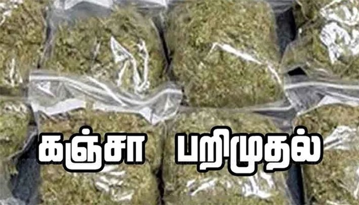 செங்குன்றம் அருகே 10 கிலோ கஞ்சா பறிமுதல்!