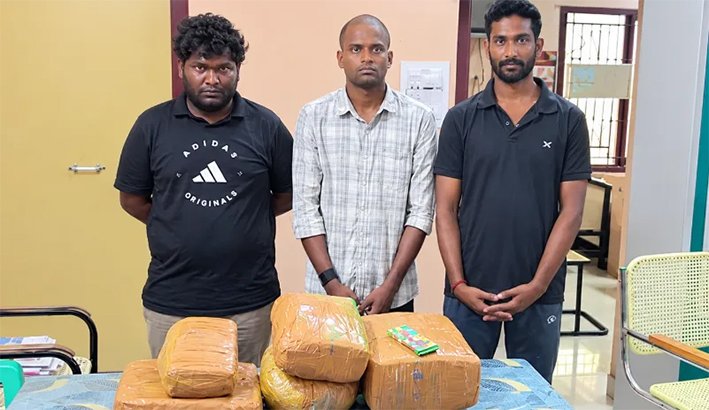 தூத்துக்குடியில் 14 கிலோ கஞ்சா பறிமுதல்... 3 பேர் கைது