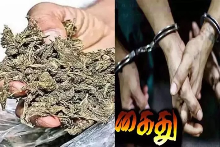 திருச்சியில் கஞ்சா விற்ற பெண் உட்பட 3 பேர் கைது