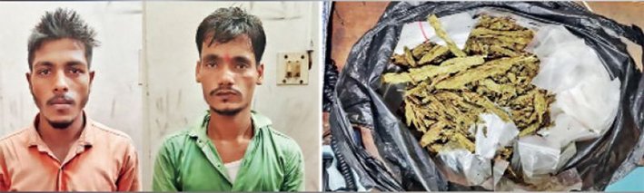 திருவள்ளூரில் தள்ளுவண்டி கடையில் கஞ்சா விற்பனை– 2 பேர் கைது