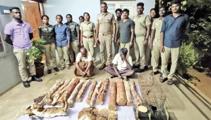 மணப்பாறை அருகே மான் தோல், சந்தன கட்டை பறிமுதல்