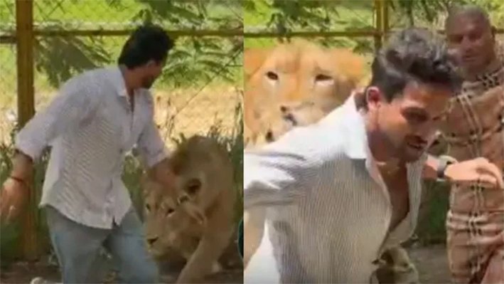 கன்னட நடிகர் கிரண் ராஜை சிங்கம் தாக்கியதா?